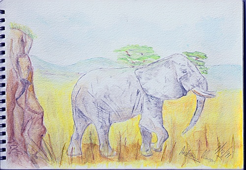 An elephant I drew when I was thirteen